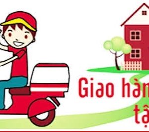 vận chuyển việt nhật 10~20kg